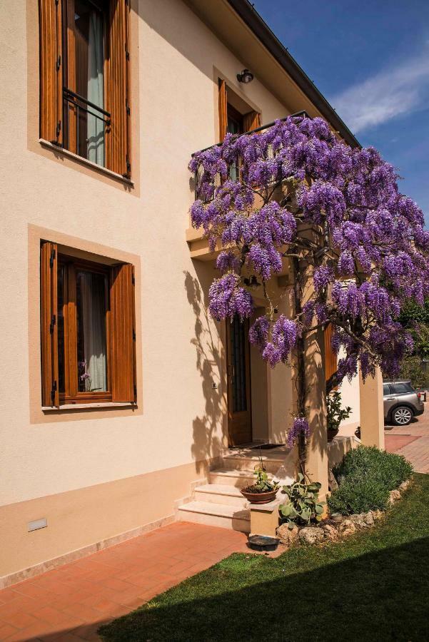 Casa Il Glicine A Due Passi Dal Centro Apartment เซียนา ภายนอก รูปภาพ